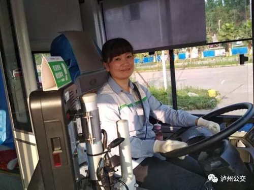 泸州人，你已拥有1250辆“爱车”！(图10)