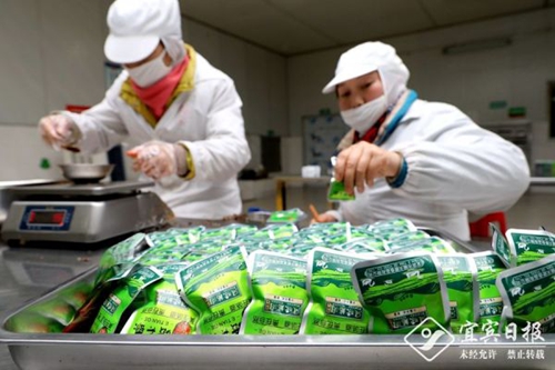 宜宾这些小“吃货”年产值上亿&nbsp;你都吃过吗？(图5)