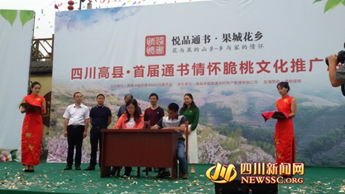 宜宾高县首届脆桃文化推广活动开幕(图1)