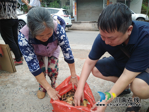 纳溪区疾控中心以卫生和产业帮扶夯实脱贫攻坚工作(图3)