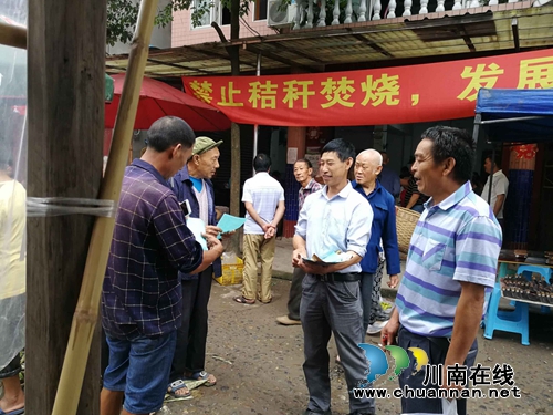 江阳区华阳街道开展秸秆禁烧宣传活动(图1)