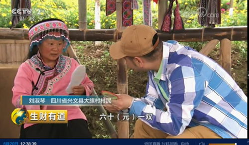 宜宾又上央视！《生财有道》聚焦兴文乡村振兴(图1)