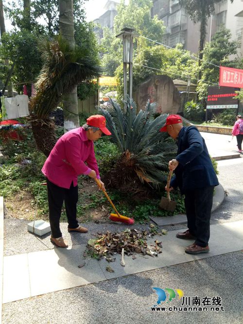 江阳区华阳街道龙驰社区开展“巩固国卫成果”志愿服务活动(图2)