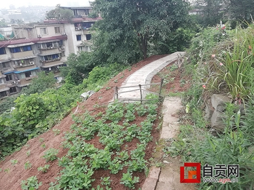 自贡：闹市山体遭坟墓“包圆”&nbsp;居民喊伤不起(图2)