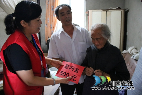 龙马潭区莲花池街道羊大山社区：主题党日活动慰问百岁寿星(图1)