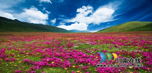 泸州热爆！哪位大神带我去15℃的木雅圣地？(图1)