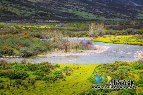 泸州热爆！哪位大神带我去15℃的木雅圣地？(图5)