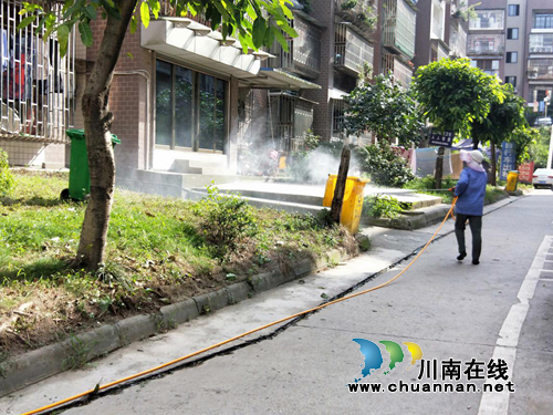 江阳区张坝街道桂圆林社区开展夏季灭蚊蝇活动