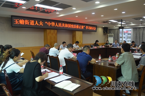 泸县玉蟾街道人大工委：一心为民显真情&nbsp;砥砺奋进绘新篇(图1)