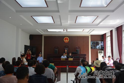 最高法邀请部分全国人大代表走进泸州法院(图12)