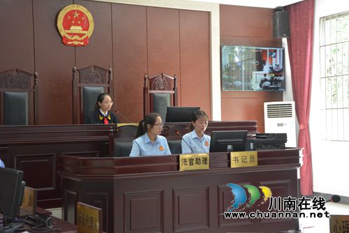 最高法邀请部分全国人大代表走进泸州法院(图15)