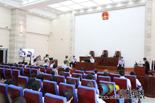 最高法邀请部分全国人大代表走进泸州法院(图30)