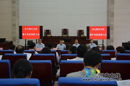 最高法邀请部分全国人大代表走进泸州法院(图32)