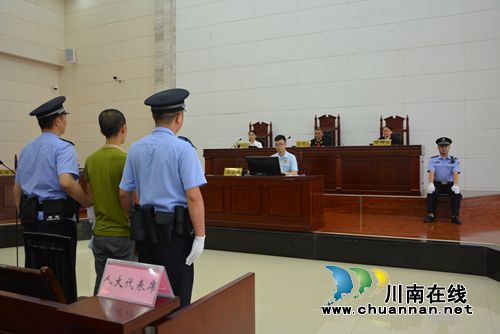 最高法邀请部分全国人大代表走进泸州法院(图38)