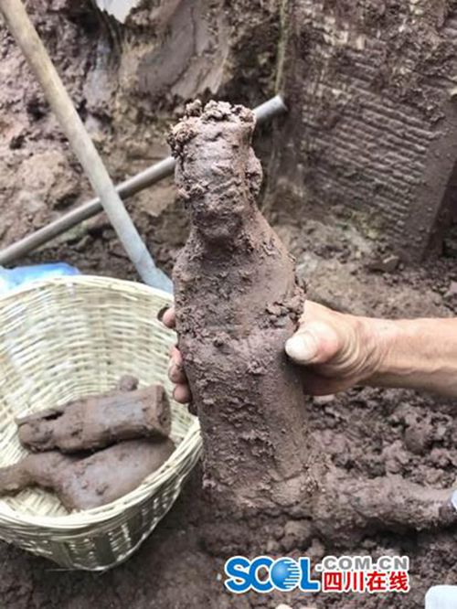 自贡发现一处宋代古墓&nbsp;墓内大量精美石雕图案(图2)