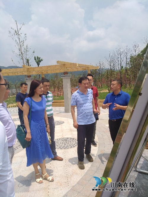 省非垃联合督导组督查泸县红斗山非垃治理项目(图1)