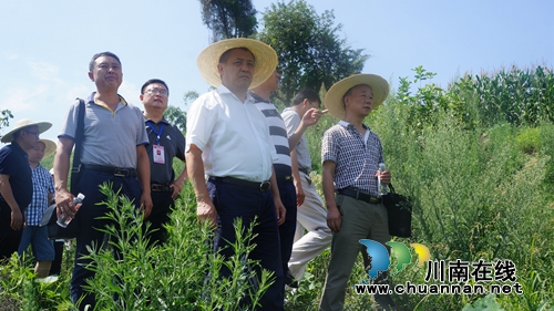 泸县政协主席李镇到立石镇调研“4+1工程”项目建设情况(图1)