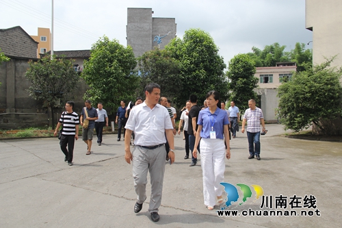 泸州市目督办副主任曾一平率队到泸县云龙镇督查河长制工作开展落实情况(图1)