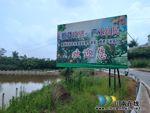 龙马潭区金龙镇曹坝村百余亩翠冠梨迎来采摘季(图2)