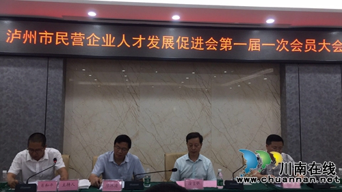 泸州市民营企业人才发展促进会亮相酒城(图1)