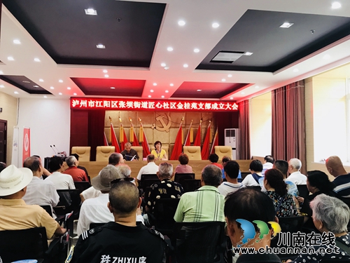 泸州市江阳区张坝街道匠心社区四个党支部成立圆满完成(图1)