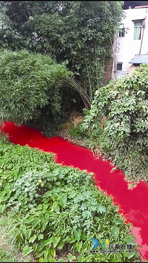 宜宾一小河河水变红&nbsp;受污染水体已被拦截处理(图1)