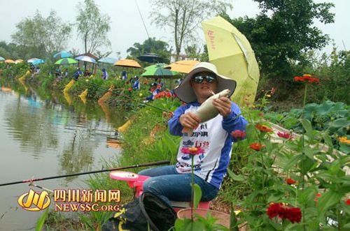 宜宾江安大妙乡举办第五届青创杯荷花旅游节(图4)