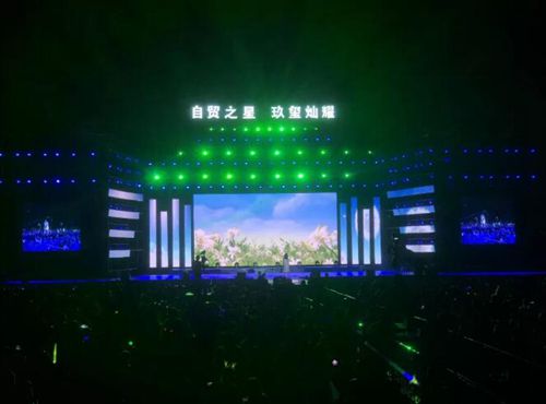 “自贸之星·玖玺灿耀”晚会&nbsp;刷爆泸州朋友圈(图19)