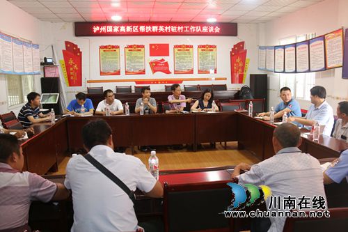 泸州高新区组织赴群英村开展脱贫攻坚工作(图1)