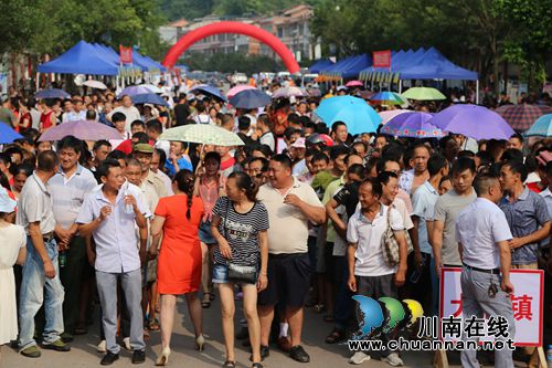 “川浙携手，脱贫奔康”招聘会在叙永水尾镇举行(图4)