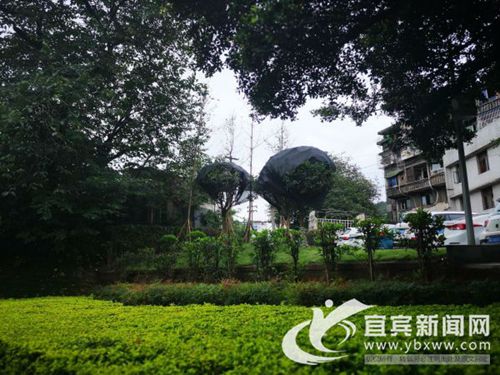 扮靓城区凸显园林&nbsp;宜宾15个节点绿化提升颜值(图1)