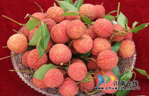 合江荔枝文化(一):合江荔枝应该这样吃(图2) 合江荔枝文化(一):合江荔枝应该这样吃(图2)