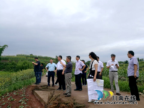 自然资源部核查组到龙马潭区实地核查补充耕地项目(图1) 自然资源部核查组到龙马潭区实地核查补充耕地项目(图1)