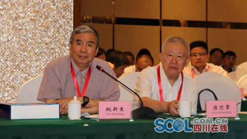 11名院士25名国家千人计划专家赴泸开座谈会(图3) 11名院士25名国家千人计划专家赴泸开座谈会(图3)