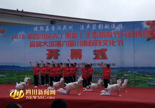 宜宾李场镇大塔第六届川南荔枝文化节开幕(图2) 宜宾李场镇大塔第六届川南荔枝文化节开幕(图2)
