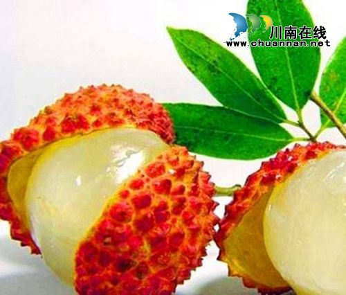 合江荔枝文化（三）：荔城街头无处不见荔(图2)