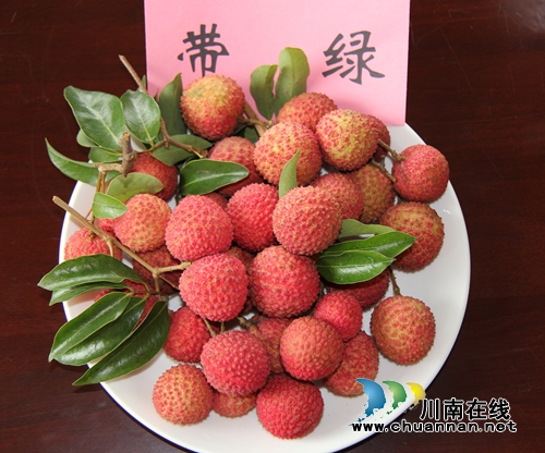 合江荔枝文化(四):荷枪实弹采摘后急送北京(图1) 合江荔枝文化(四):荷枪实弹采摘后急送北京(图1)