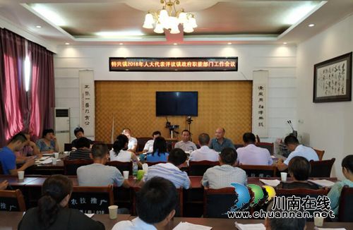 龙马潭区特兴镇开展人大代表评议部门工作(图1)