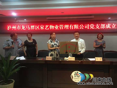 龙马潭区红星街道为新成立非公企业党支部授牌(图1)