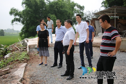 杨双全到泸县潮河镇调研高标准农田建设项目(图1)