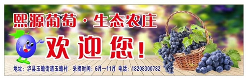 约起!到泸县玉蟾山下品生态葡萄度清凉夏日(图10) 约起!到泸县玉蟾山下品生态葡萄度清凉夏日(图10)