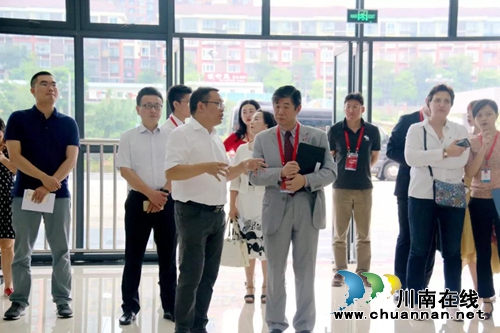 高端引智&nbsp;国外专家到泸州市人民医院参观考察(图8)