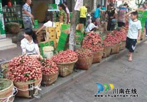 合江荔枝文化（十）：水浒里有荔枝七宝黄金带(图2)