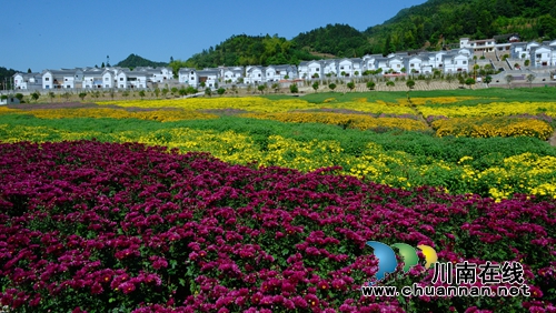 全省旅游扶贫工作现场推进会在古蔺召开(图19) 全省旅游扶贫工作现场推进会在古蔺召开(图19)