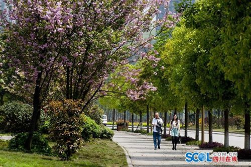 泸州将新增公园绿地&nbsp;为市民营造“绿色盛宴”(图3)