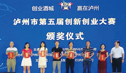 开明开放&nbsp;聚智聚才&nbsp;创新创业　中国泸州人才发展大会举行(图4)