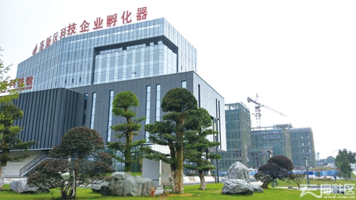 开明开放&nbsp;聚智聚才&nbsp;创新创业　中国泸州人才发展大会举行(图6)