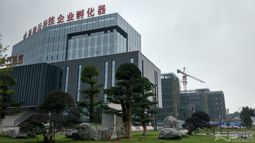 开明开放&nbsp;聚智聚才&nbsp;创新创业　中国泸州人才发展大会举行(图13)