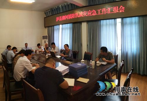 泸州市防汛减灾和地灾防治督导组到泸县潮河镇开展督导工作(图1)