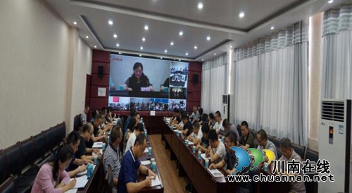 泸州市国土资源局召开地质灾害防治工作调度视频会(图2)